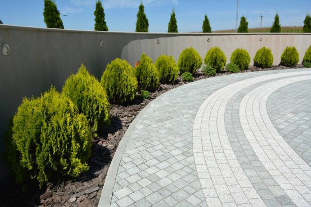 Best Driveway Paving Company  in Lakeland Highlands, FL